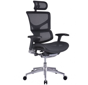 Ergonimiczny Fotel ERGOFLY SAIL Alum T-01 Black