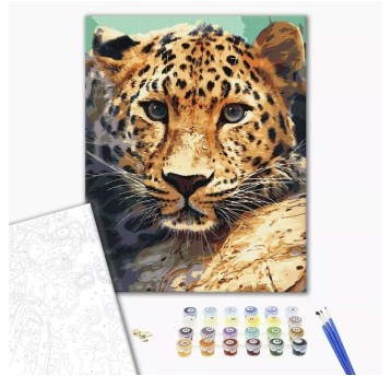 Malowanie po numerach BRUSHME, 40x50 cm, portret