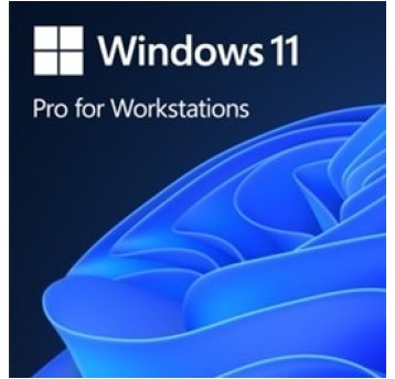 OEM Win Pro for Wrkstns 11 PL x64 HZV-00117
