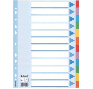 Przekładki kolorowy karton z kartą opisową A4 ESS