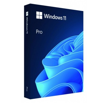 USB Windows Pro 11 64bit PL Flash Drive Box HAV-0